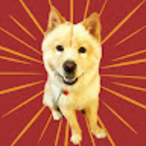 Meet your Posher, Li